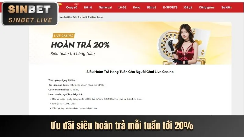 Hoàn trả hàng tuần c54 chính thức